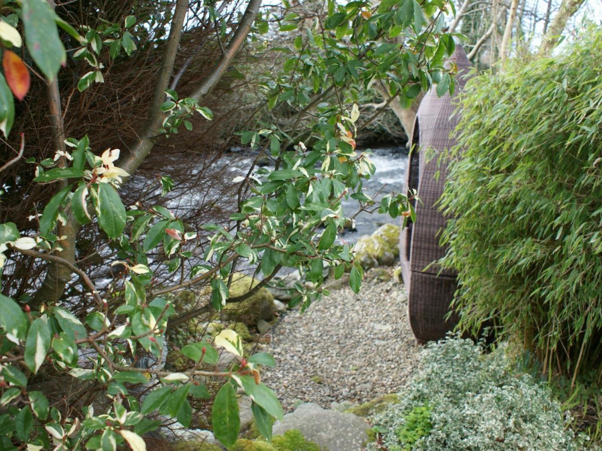 Talybont Bed And Breakfast Barmouth Exteriér fotografie
